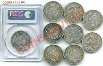 Трансвааль (ZAR) 1892-97 большой лот - на оценку - Image7