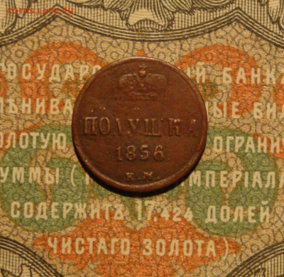 полушка 1856 ЕМ.  до 17.02.21.  22-00 мск - IMG_20210214_202451_542