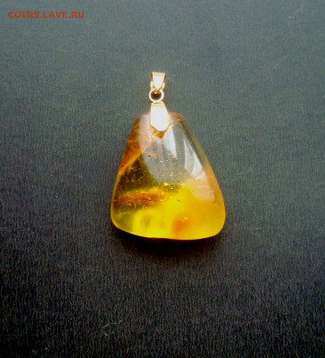 Кулон - натуральный балтийский янтарь. - DSC09045.JPG