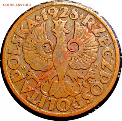 D43 Польша 5 грошей 1928 до 12.10 в 22°° - D43 5 1928_2