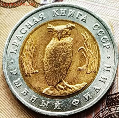 Красная книга 1991 Филин и Козел. До 20.02.2021 в 22.00 МСК - 1613393749082 (1)