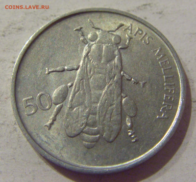 50 стотинов 1993 Словения №1 22.02.2021 22:00 М - CIMG5889.JPG