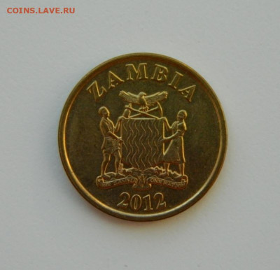 Замбия 10 нгве 2012 г.(Фауна) до 22.02.21 - DSCN6689.JPG