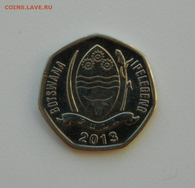 Ботсвана 5 тхебе 2013 г. (Фауна) до 22.02.21 - DSCN6695.JPG