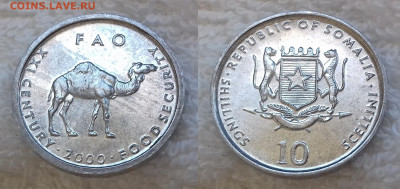 Монеты мира по фиксированной цене - СОМАЛИ 10 шиллингов 2000 ФАО 20200406_1449