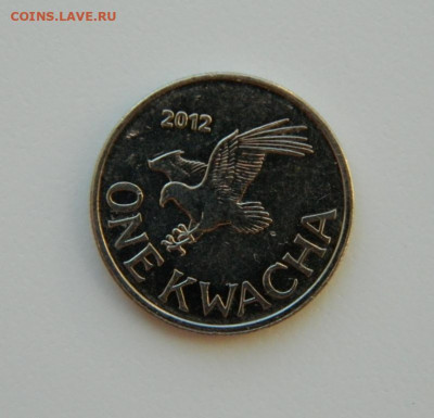 Малави 1 квача 2012 г. (Фауна) до 22.02.21 - DSCN6696.JPG