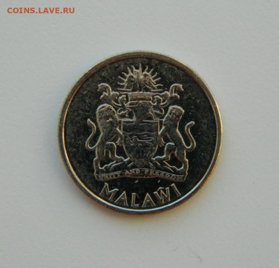 Малави 1 квача 2012 г. (Фауна) до 22.02.21 - DSCN6697.JPG