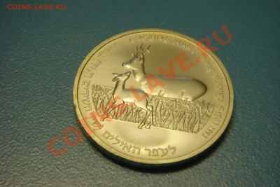 ИЗРАИЛЬ монеты (пополняемая) - DSC01285.JPG