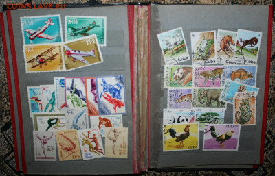 250 марок +7 блоков в альбоме, до 23.02.21г. в 22:00 по МСК - IMG_3230.JPG