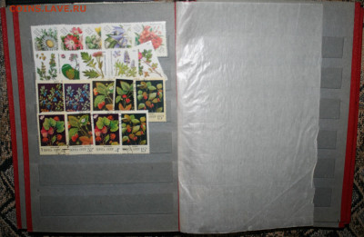 250 марок +7 блоков в альбоме, до 23.02.21г. в 22:00 по МСК - IMG_3228.JPG