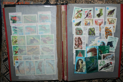 250 марок +7 блоков в альбоме, до 23.02.21г. в 22:00 по МСК - IMG_3224.JPG