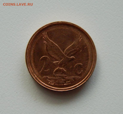 ЮАР 2 цента 2001 г. (Фауна)  до 22.02.21 - DSCN6743.JPG
