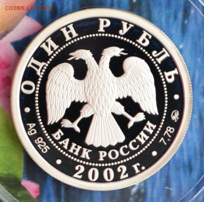 1 рубль ВС РФ - DSC_0079.JPG
