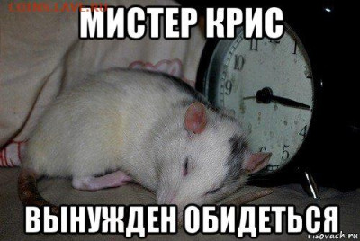 N-CoV(CoronaVirus) КоронаВирус.Последние новости - krysa_114251595_orig_