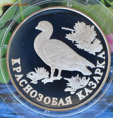 2 рубля КК 1994 год набор - DSC_0056.JPG