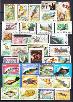 Фауна подборка 77 марок до 24 02 - 530а