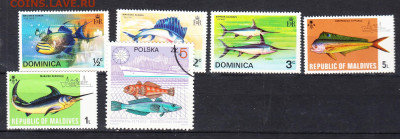 Фауна подборка 77 марок до 24 02 - 530б