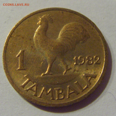 1 тамбала 1982 Малави №1 24.02.2021 22:00 МСК - CIMG9054.JPG