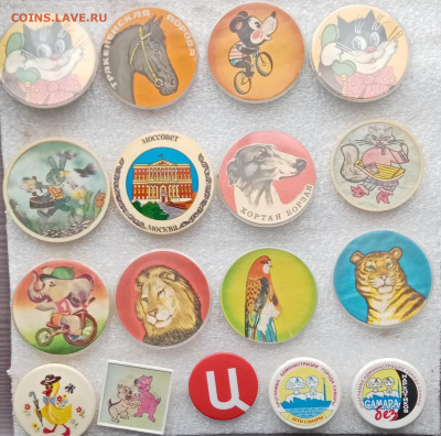 Новые знаки по 15р до 23.02.21 в 22:00 по мск - IMG_20210219_111929