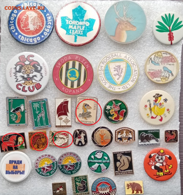 Новые знаки по 15р до 23.02.21 в 22:00 по мск - IMG_20210219_112001