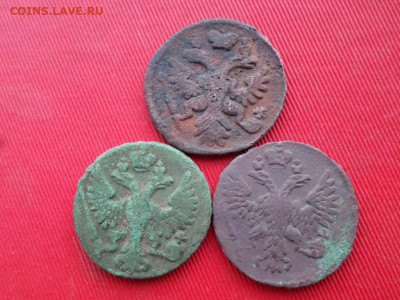 9 монеток РИ 1737-1859 г. до 21.02 2021 г. - SAM_2493.JPG
