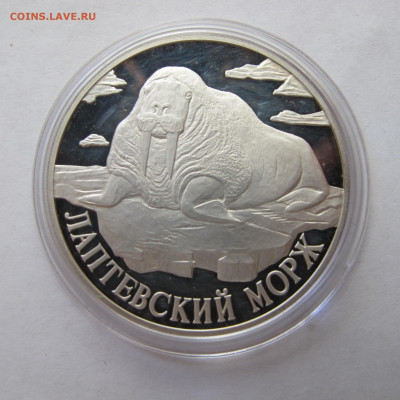 1 рубль 1998 "Лаптевский морж" - IMG_2893.JPG