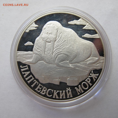 1 рубль 1998 "Лаптевский морж" - IMG_2892.JPG