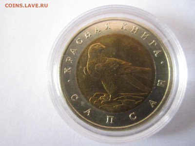 кк Сапсан 50 руб 1994 (капсула) до 24.02.21 в 22:30 - IMG_3972.JPG