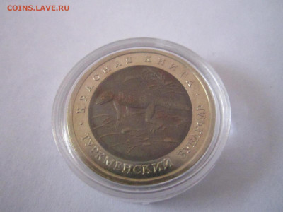 кк Зублефар 50 руб 1993 (капсула) до 24.02.21 в 22:30 - IMG_3985.JPG