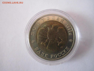 кк Зублефар 50 руб 1993 (капсула) до 24.02.21 в 22:30 - IMG_3986.JPG