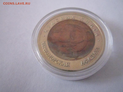 кк Афалина 50 руб 1993 (капсула) до 24.02.21 в 22:30 - IMG_3977.JPG