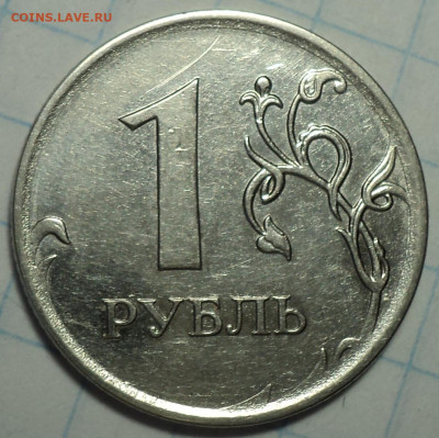 РАЗНОВИДНОСТИ  от  СЛФ - DSC01986.JPG