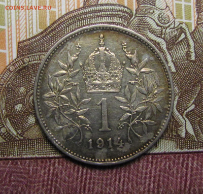Австро-Венгрия 1 крона 1914 г. до 26-02-21 - IMG_4880.JPG