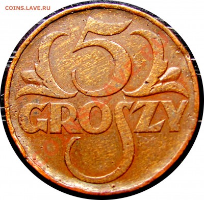 D48 Польша 5 грошей 1935 до 13.10 в 22°° - D48 5 1935_1