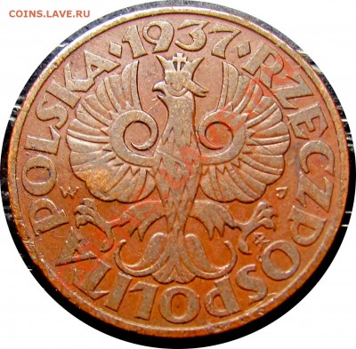 D49 Польша 5 грошей 1937 до 13.10 в 22°° - D49 5 1937_2