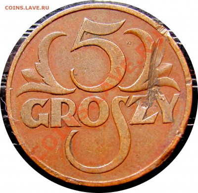 D49 Польша 5 грошей 1937 до 13.10 в 22°° - D49 5 1937_1