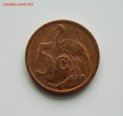 ЮАР 5 центов 2011 г. (Фауна) до 25.02.21 - DSCN6845.JPG