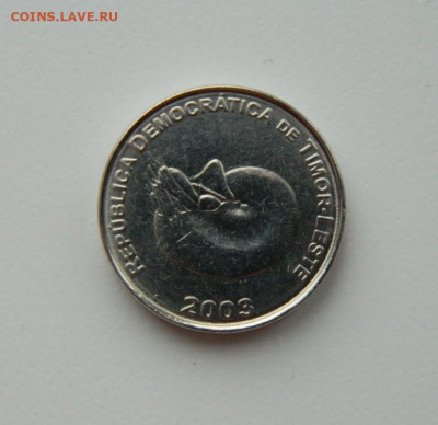 Восточный Тимор 1 сентаво 2003 г. (Фауна) до 25.02.21 - DSCN6803.JPG