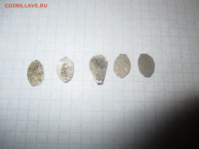 Чешуя . 5 штук . - IMG_0309.JPG