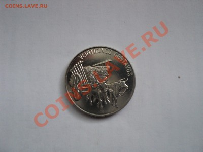 Доминикана.14.10.11г. 22-00Мск. - Изображение 052