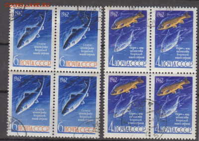 СССР 1962 рыбы 2м в квартблоках до 27 02 - 49