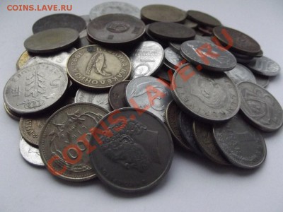шт - DSCF3969.JPG