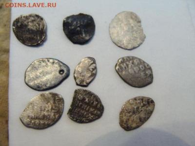 9 чешуек по лому - DSC03517.JPG