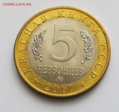 5 черв 2017 год Крымская Жужелица  ( брак ) до 27 .02 - IMG_7394.JPG