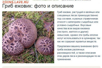 Трёхлитровая банка - Снимок.JPG