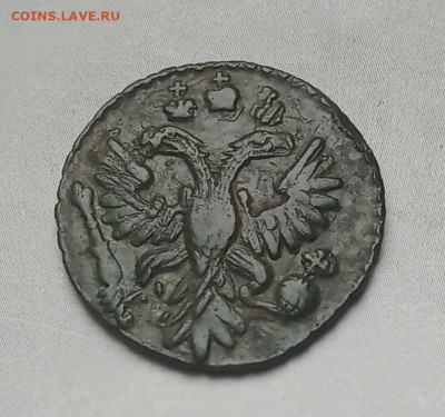 Полушка 1731 год. - 3
