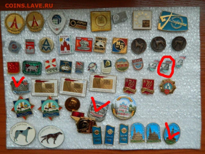 Солянка фикс до 27.02 - DSCN1075_thumb