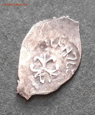Вес 0.35 - 20210226_155556