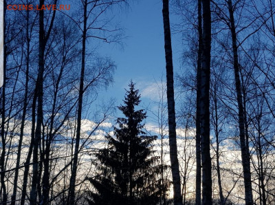 ФОТО - просто фото. Те что получились удачными. - Screenshot_20210224-173158_Gallery