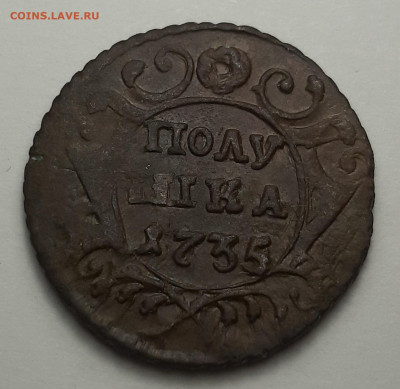 Полушка 1735 - 20210219_134602 (1)